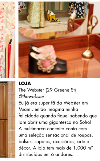 The Webster The Webster