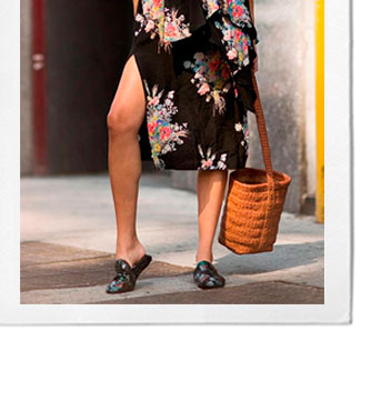 Welcome Spring Welcome Spring